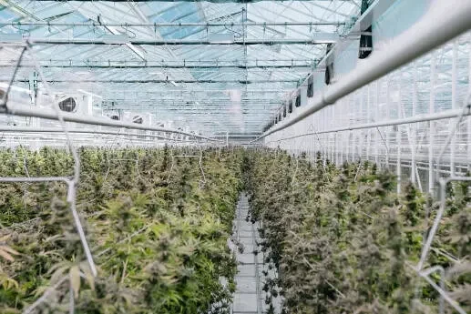 Industrial and agricultural properties.